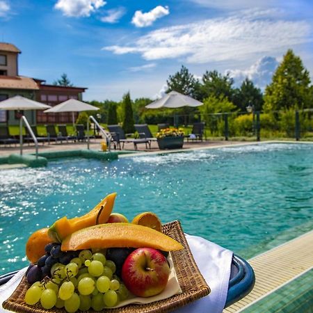 Hotel Forest Hills Zirc Dış mekan fotoğraf